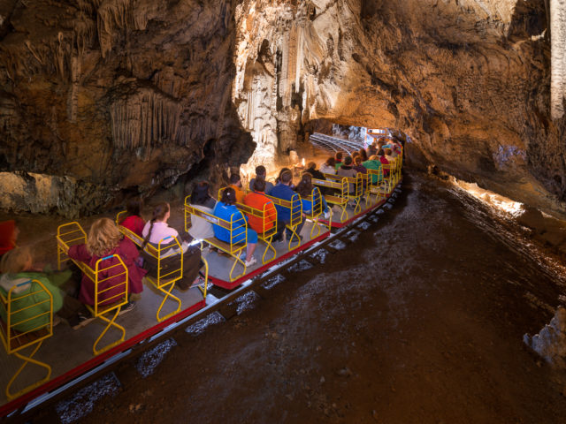 Höhle von Postojna und Vivarium
