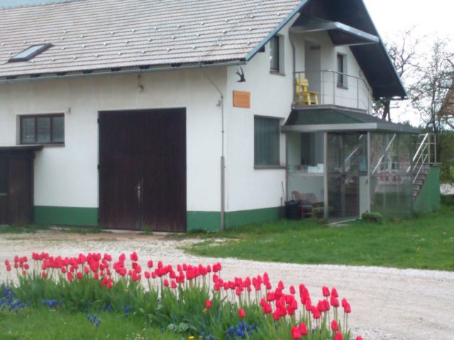 Gästehaus Lastovka in Nova vas