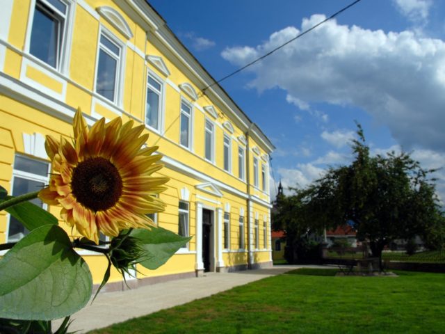 Old School Villa Bloke in Nova Vas