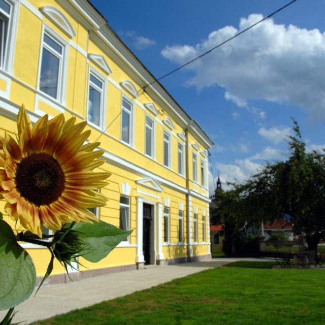 Old School Villa Bloke in Nova Vas