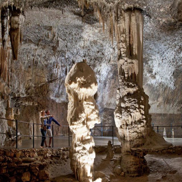 Postojna Cave and the Vivarium
