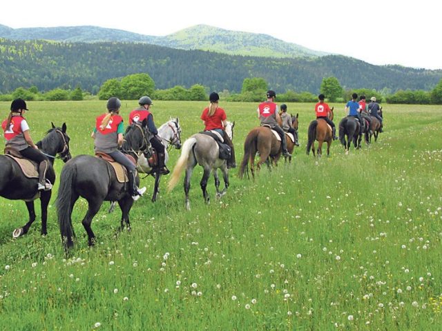 EQUITAZIONE E GIRI IN CARRO