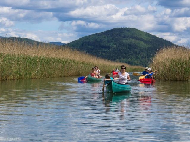 Safari in canoa – Stržen, 1 giorno