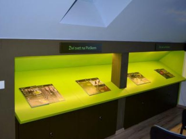 Museo dei laghi intermittenti di Pivka