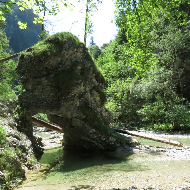 Vidovska planota in Iška