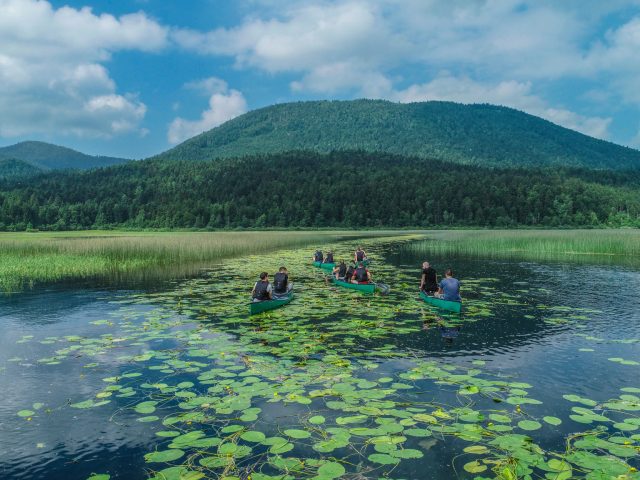 CANOE SAFARI – ČEBELICA