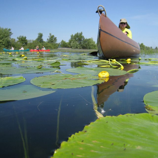 Kanu safari – Jamski zaliv, 1 dan