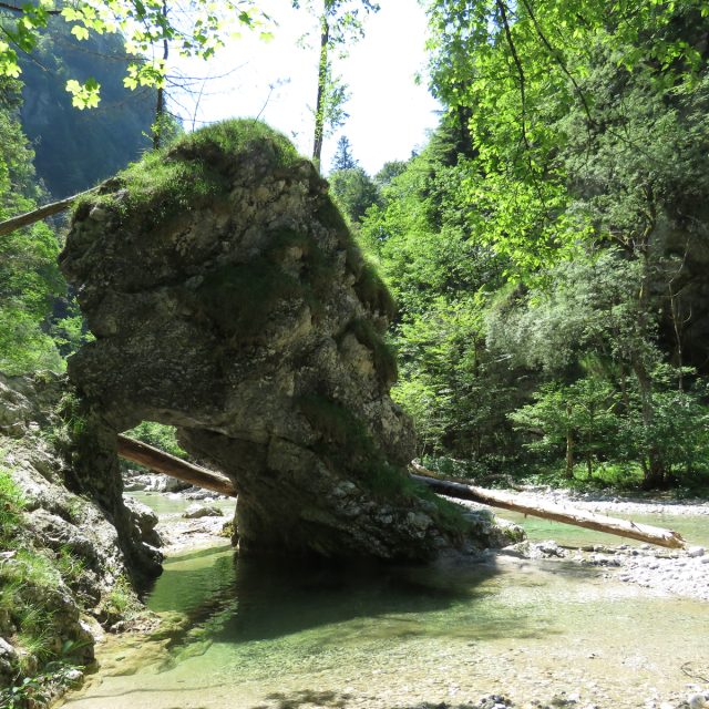 Rak Škocjan Valley