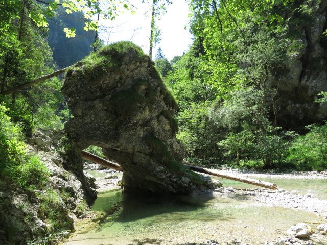 Rak Škocjan Valley