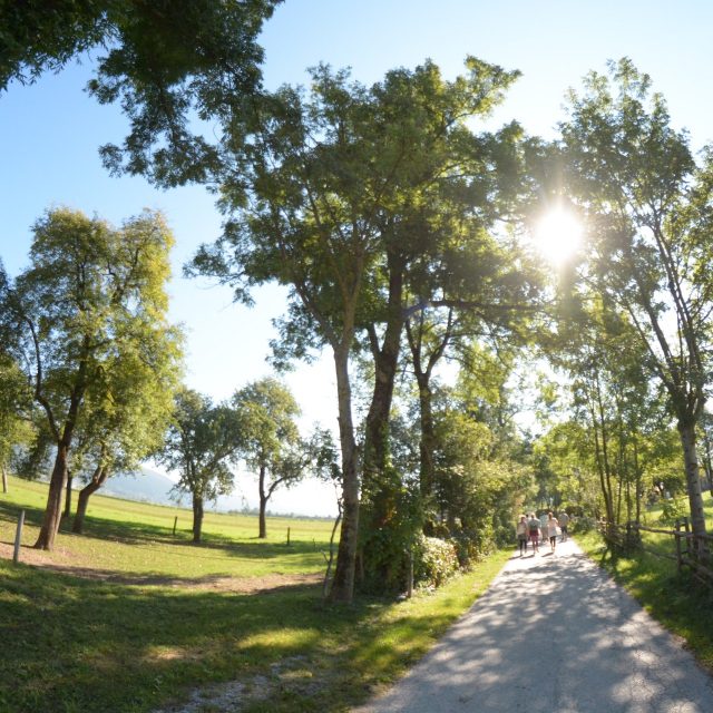 WANDERN