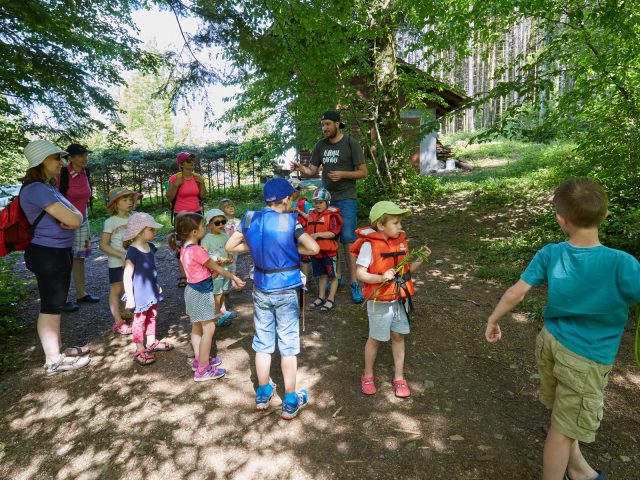 GUIDED TOURS