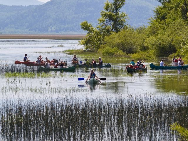 Canoe Trip, 3 Days