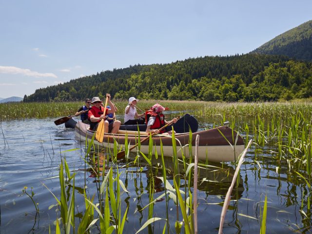 Canoe Safari – Cave Bay, 1 Day