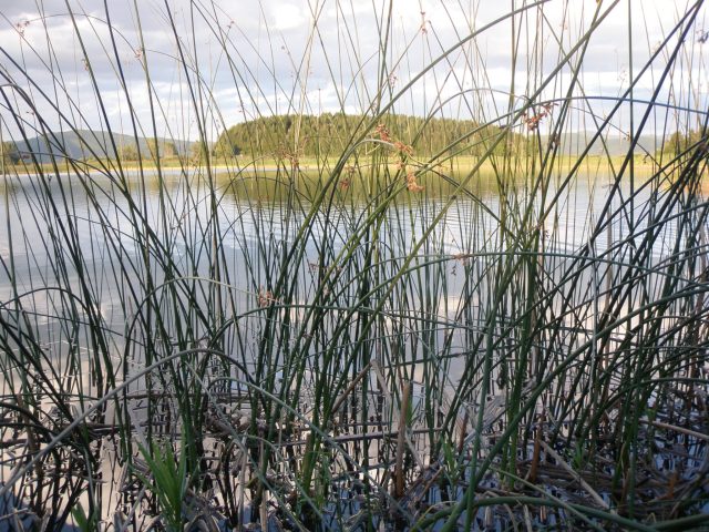 Notranjska Regional Park