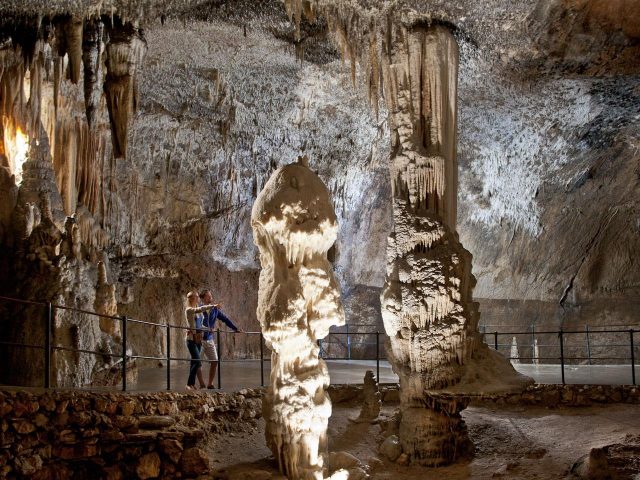 Postojna Cave and the Vivarium