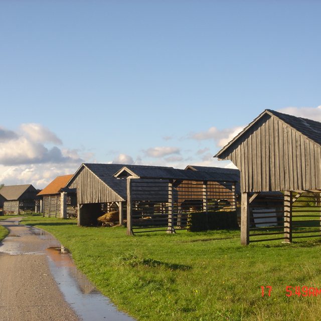Grottenolm