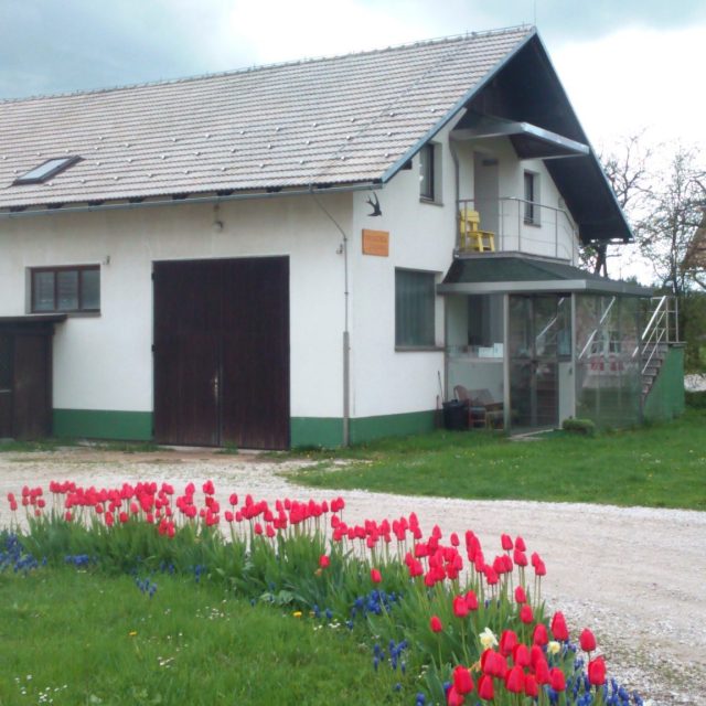 Accommodations Lastovka, Nova Vas