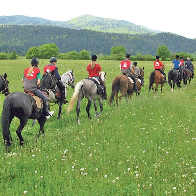 REITEN und FAHRT MIT DEM LEITERWAGEN
