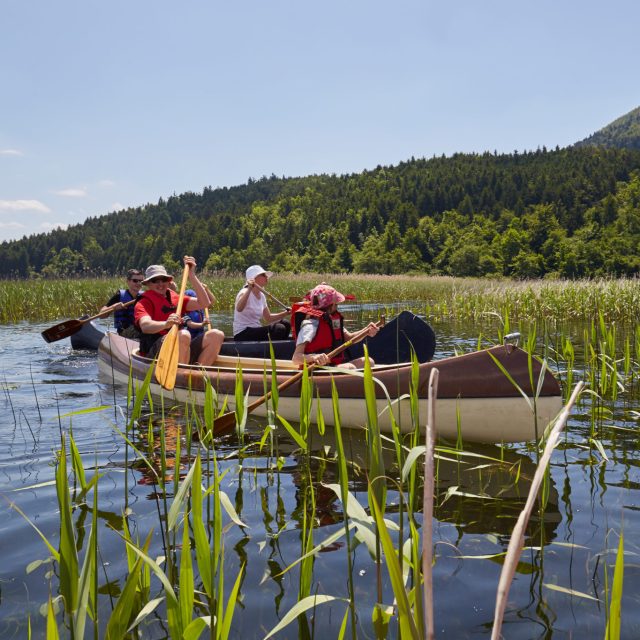 Canoe Safari – Cave Bay, 1 Day