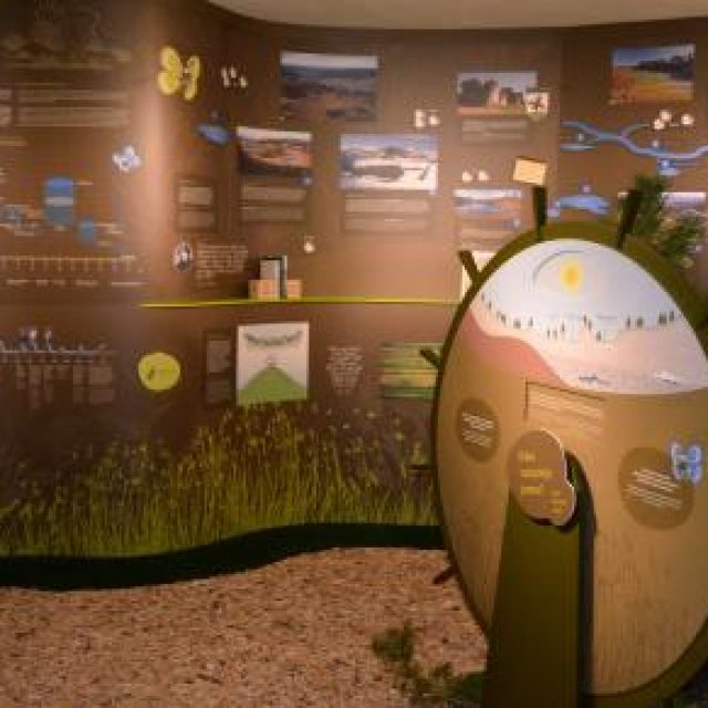 The Seasonal Lakes of Pivka Museum