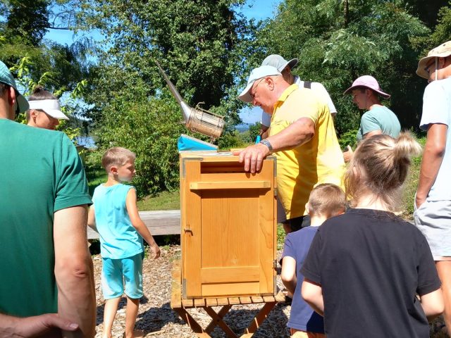 Čolnarimo: Čebelica