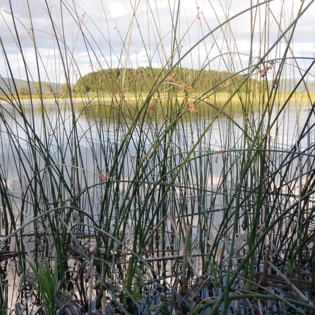 Notranjska Regional Park