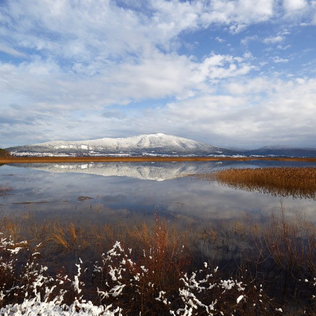 Der See Cerkniško jezero