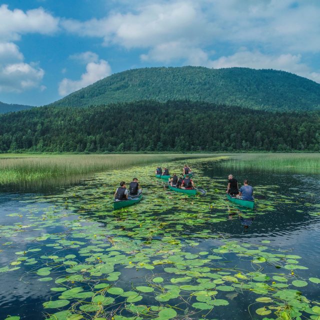 CANOE SAFARI – ČEBELICA