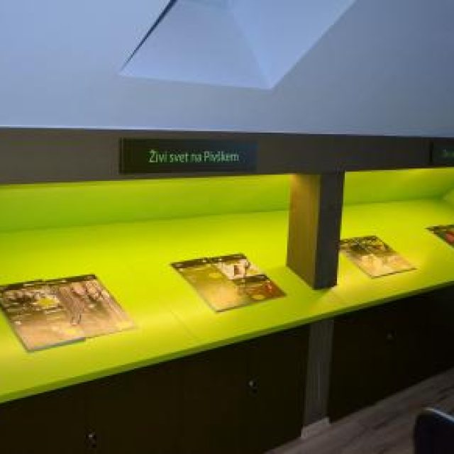 Museum der periodischen Seen in Pivka