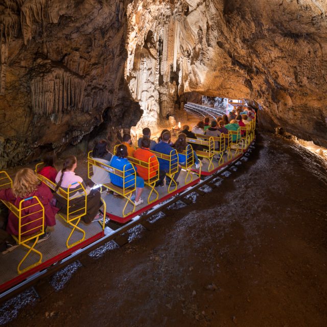 Höhle von Postojna und Vivarium